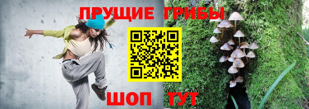 Новый Уренгой  Псилоцибиновые грибы Psilocybine cubensis  Вход с VPN  Галлюциногенные грибы Psilocybe 