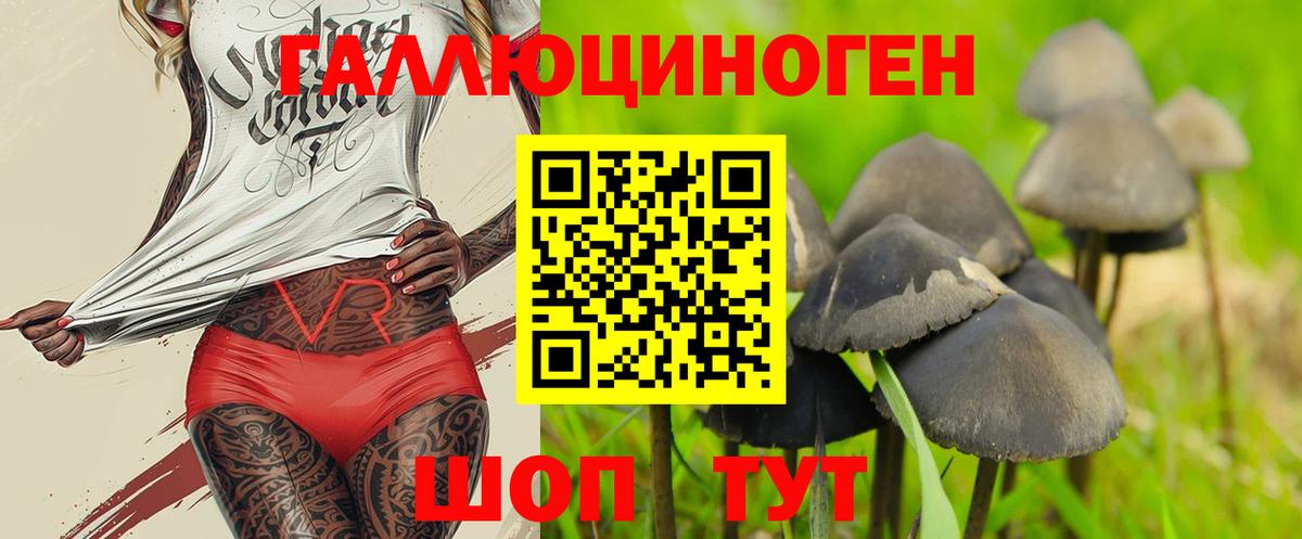 Псилоцибиновые грибы мухоморы Новый Уренгой